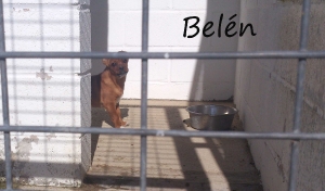Belen