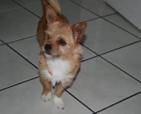 bella_2013_6