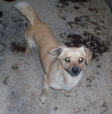 gloria_2013_6