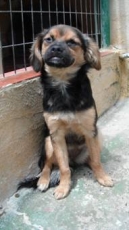 lina1_2013_1