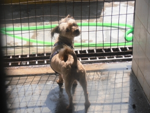 linda2_2013_1