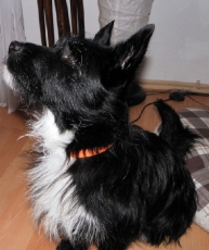 maribel_2013_13
