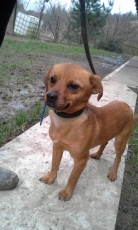 monty_2013_6