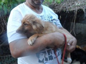 nala_2013_5