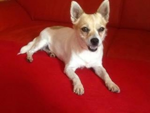 paloma_2013_2