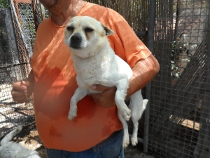 paloma_2103_1