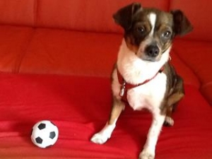 romy_2013_2