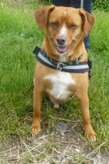 scooby_2013_1