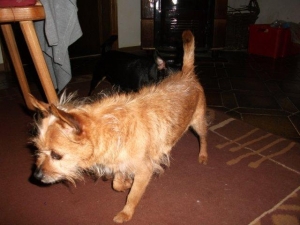 tito_2013_10