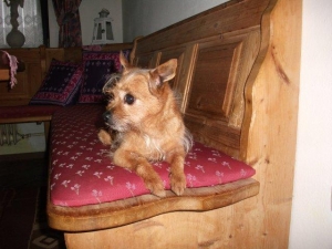 tito_2013_11