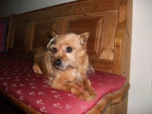 tito_2013_7