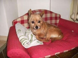 tito_2013_9