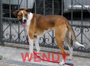 Wendy-6