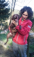 akela_2014_3