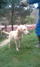 bary_2014_5
