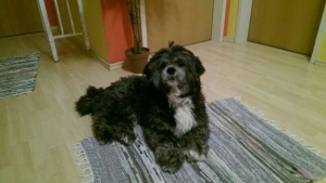 Blacky
