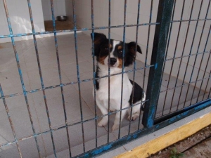 carlos_2014_2