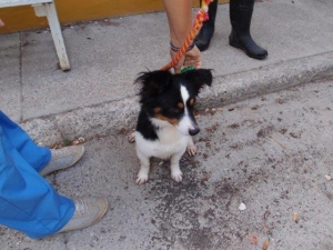 carlos_2014_7
