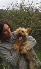 Gizmo_2014_2