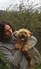 gizmo_2014_3
