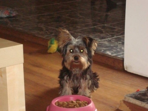 mimi