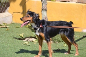 ramona_2014_3
