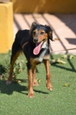 ramona_2014_4