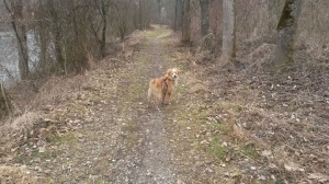 samu_2014_10