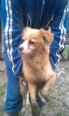 samu_2014_5