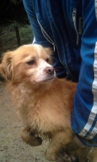 samu_2014_6