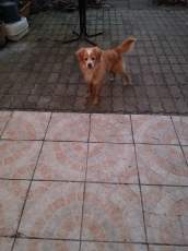 samu_2014_9
