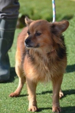 skippy_2014_8