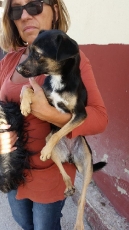 bimba_2015_2