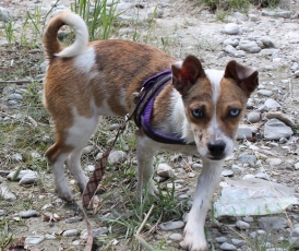 claudia_2015_15