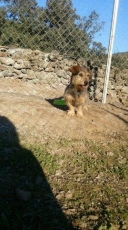 finn-Bo_2014_3