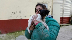 lucia_2015_2