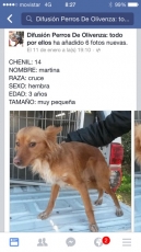 martina_2015_1