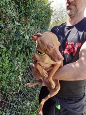 lila_2020_2