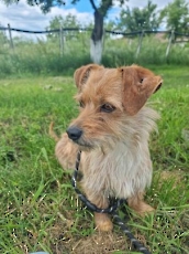 celina_2024_1