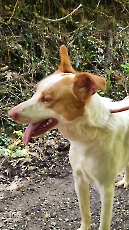 marley_2024_3