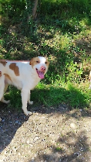 marley_2024_4
