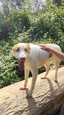 marley_2024_7