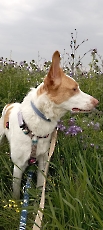 marley_2025_5