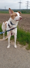 marley_2025_6